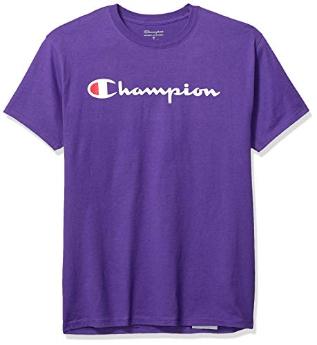 Champion Men's Graphic Jersey Tee 